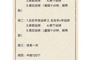  如何快速提高篮球速度：两种高效训练方法的深度解析